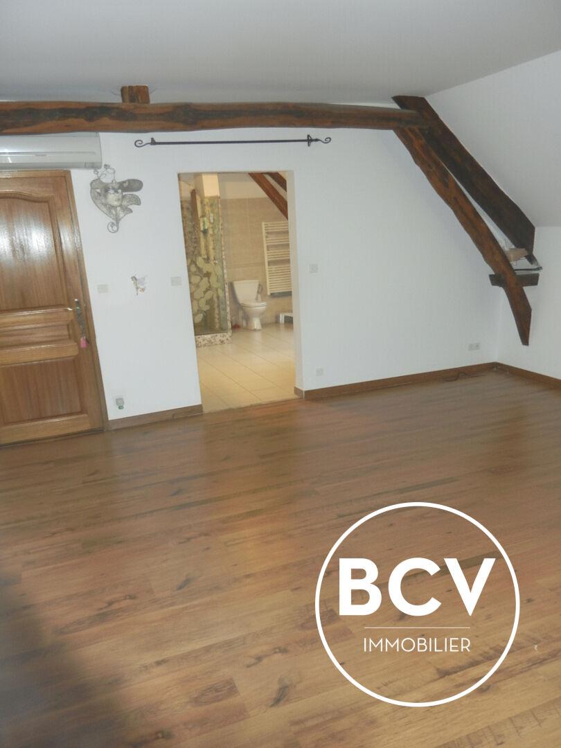 Maison T7 286m² + espace piscine intérieur + dépendance