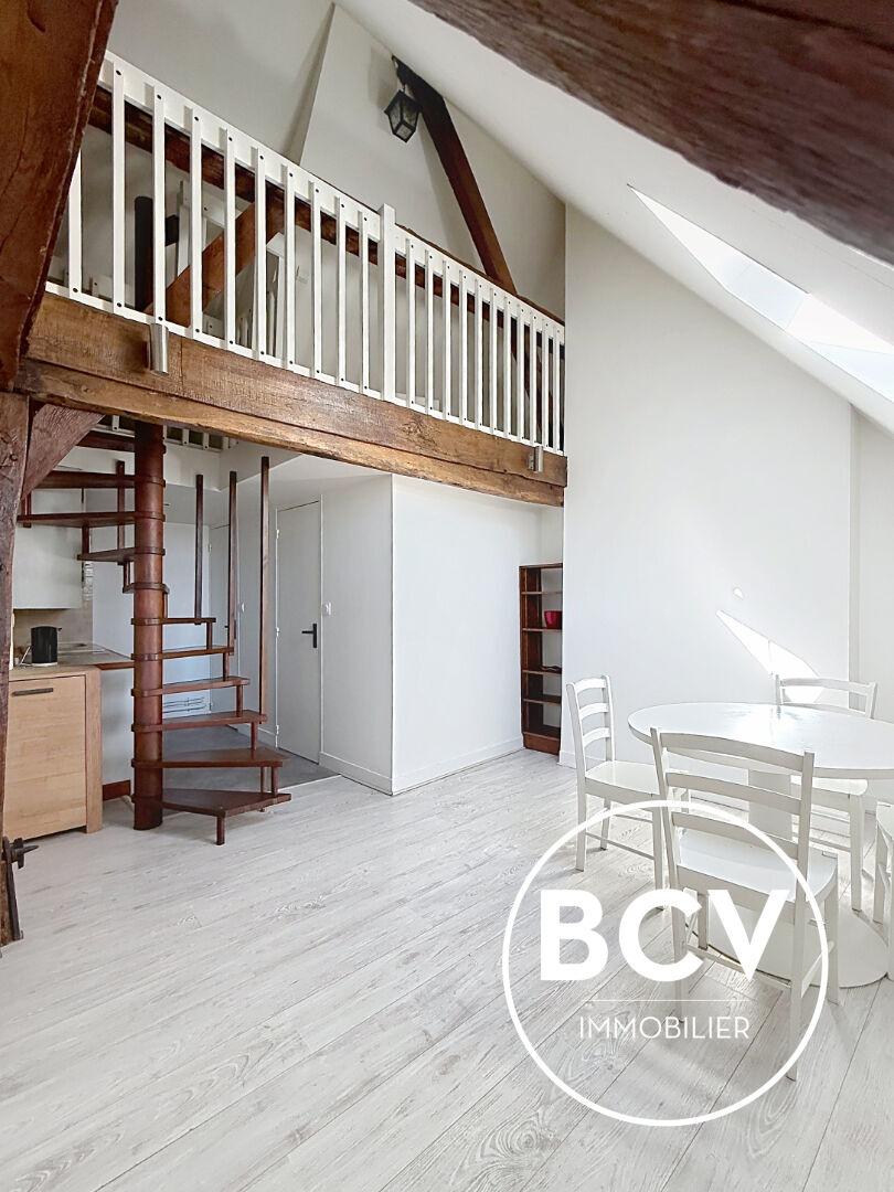 Appartement DUPLEX 28m² carrez - 48 m² au sol - Quartier Historique
