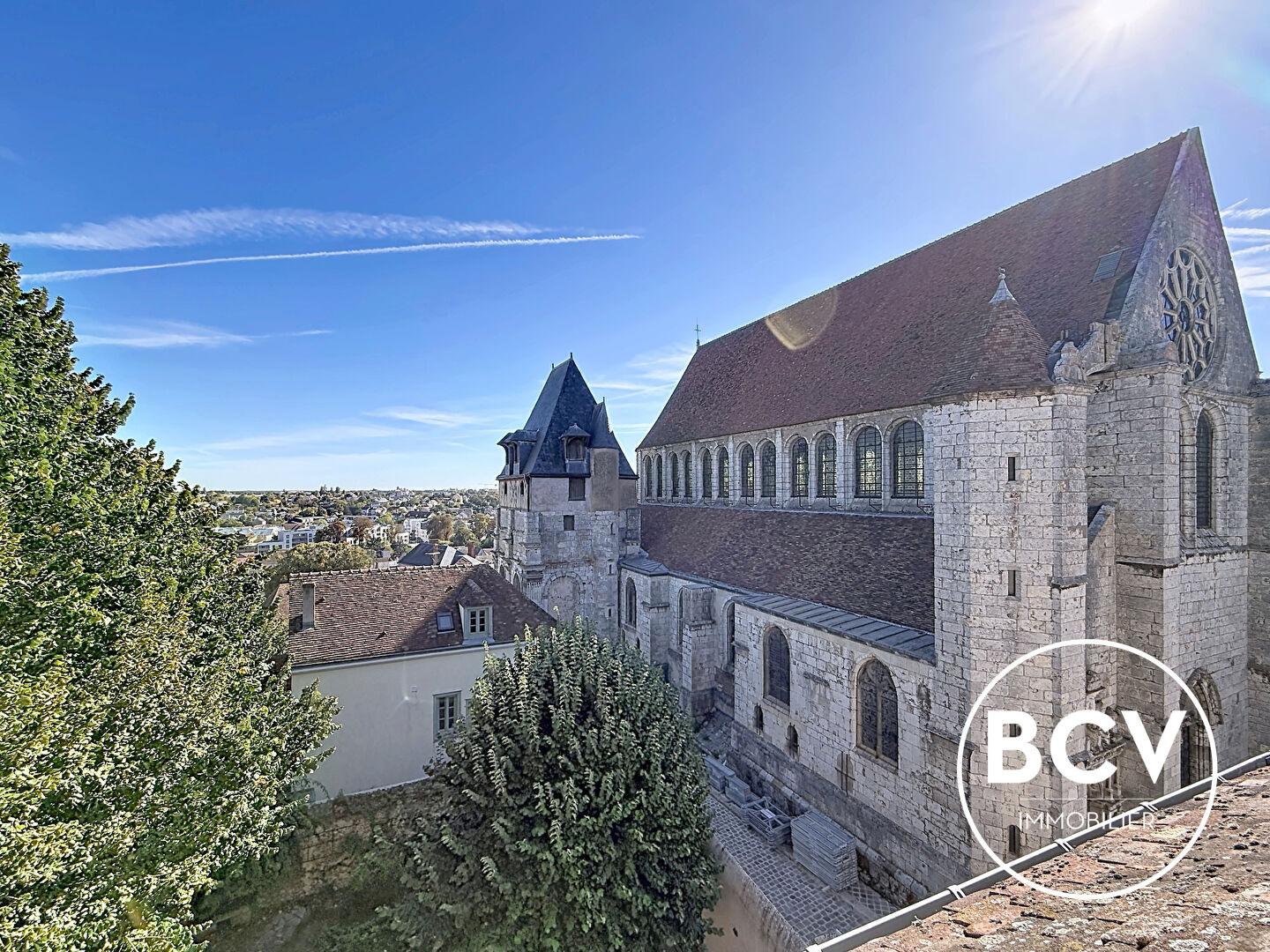 Appartement DUPLEX 28m² carrez - 48 m² au sol - Quartier Historique
