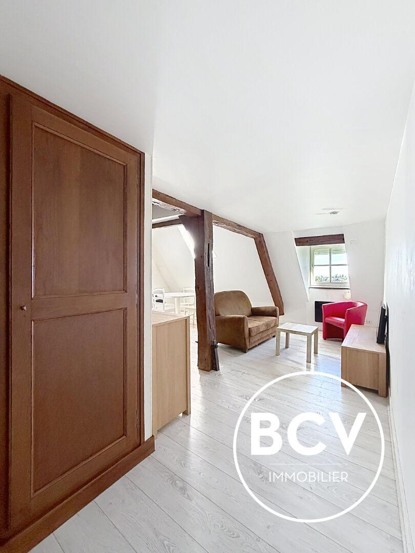 Appartement DUPLEX 28m² carrez - 48 m² au sol - Quartier Historique